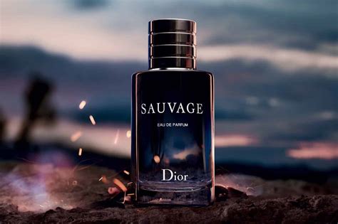 beste dior sauvage|most expensive Dior Sauvage.